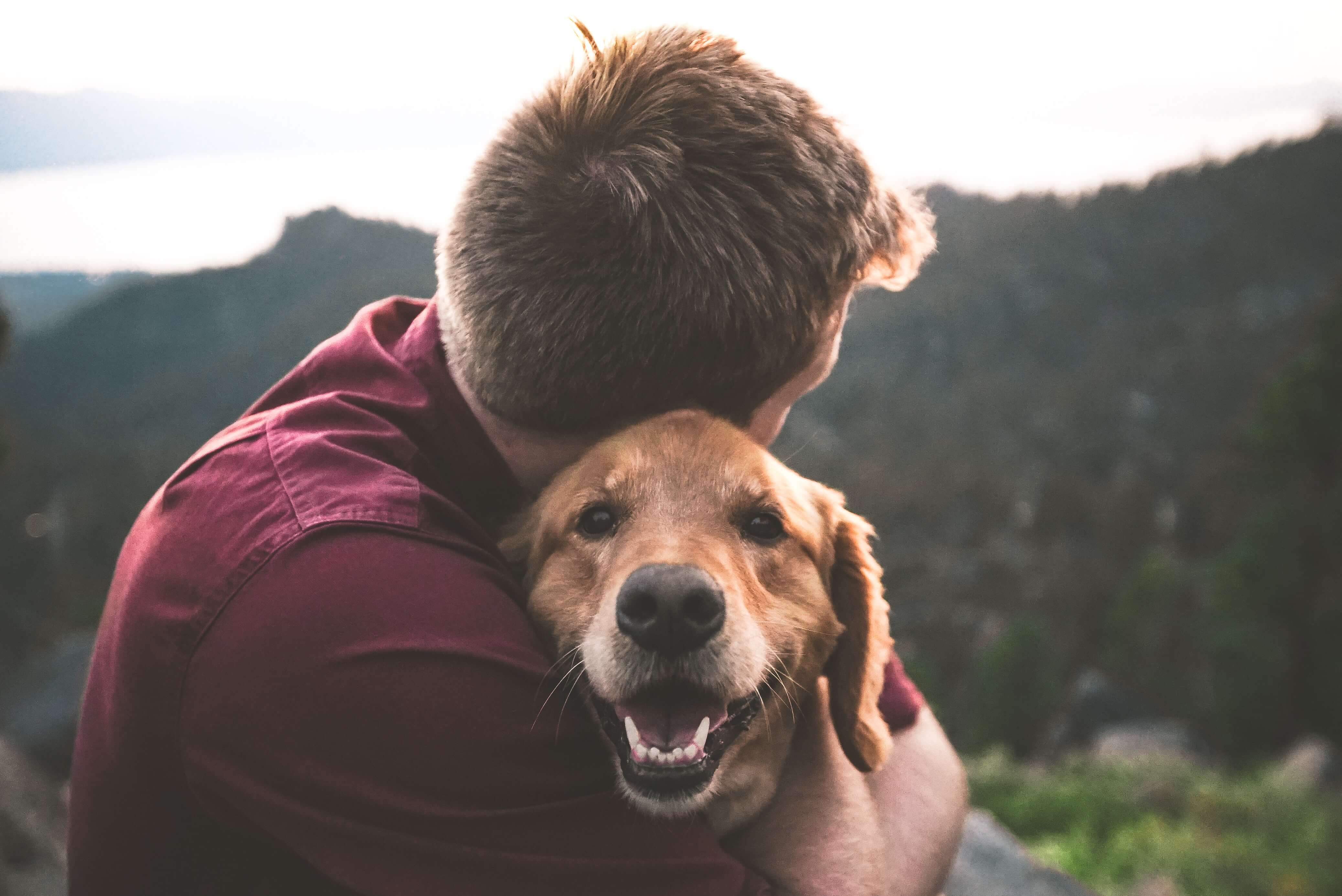 man hugging golden retreiver